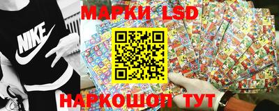 крисы Дубна